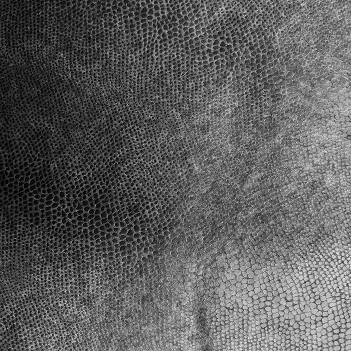 Snake Pattern Fabric For Garment